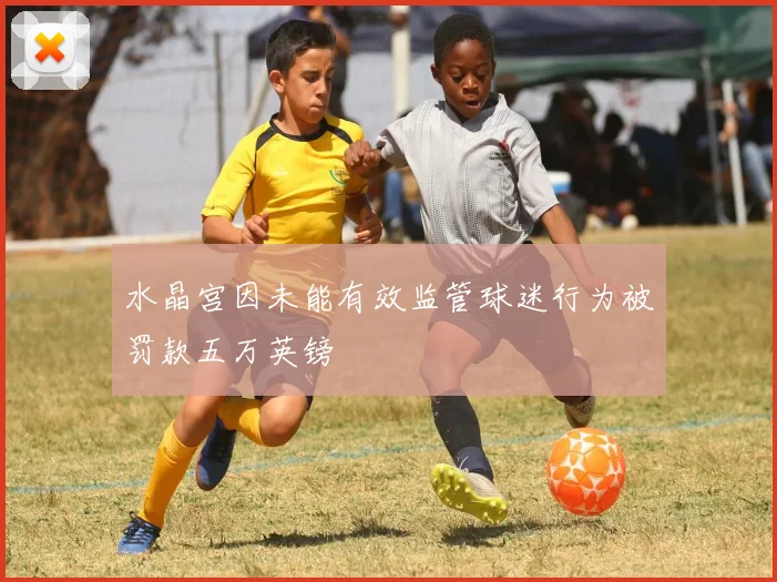 水晶宫因未能有效监管球迷行为被罚款五万英镑