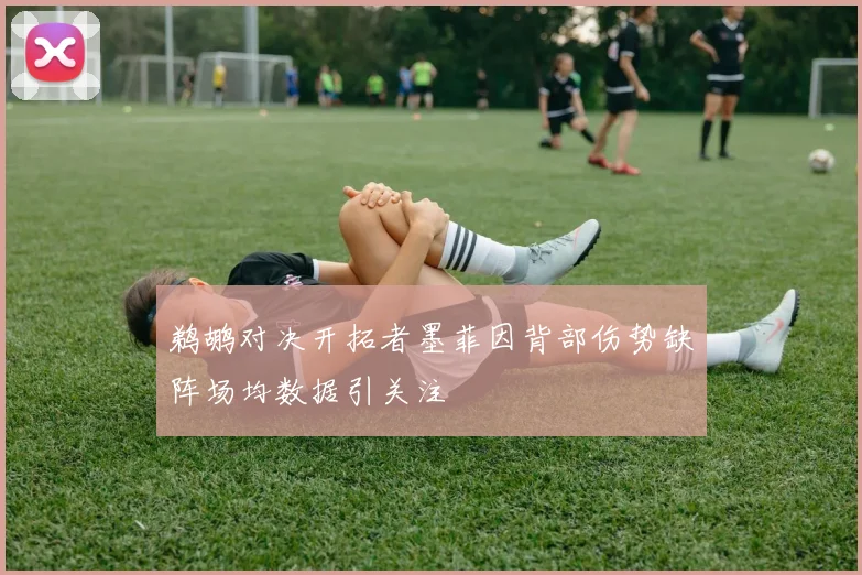鹈鹕对决开拓者墨菲因背部伤势缺阵场均数据引关注