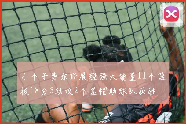 小个子费尔斯展现强大能量11个篮板18分5助攻2个盖帽助球队获胜