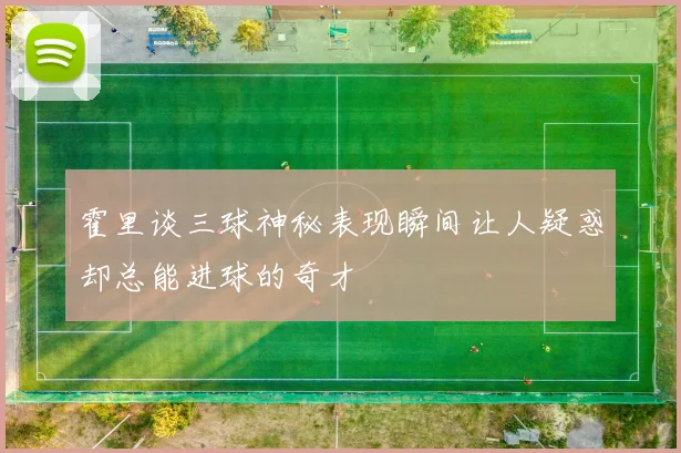 霍里谈三球神秘表现瞬间让人疑惑却总能进球的奇才