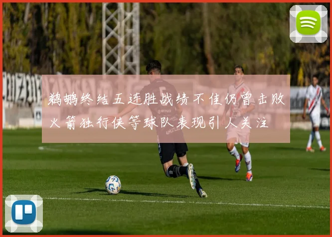 鹈鹕终结五连胜战绩不佳仍曾击败火箭独行侠等球队表现引人关注