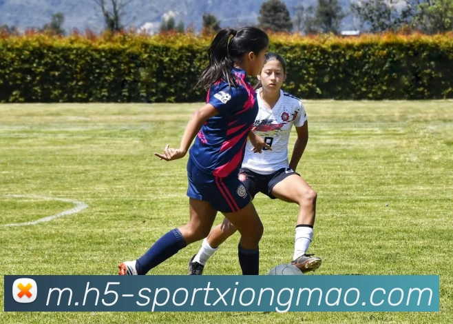 熊猫体育品牌故事