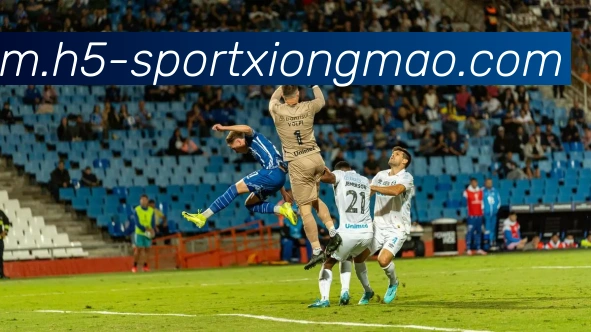 熊猫体育服务体系